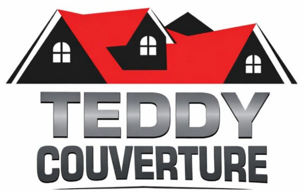 Teddy Couverture